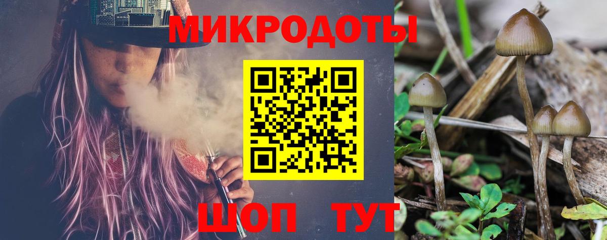 Псилоцибиновые грибы мухоморы  Вход с VPN  Бахчисарай 